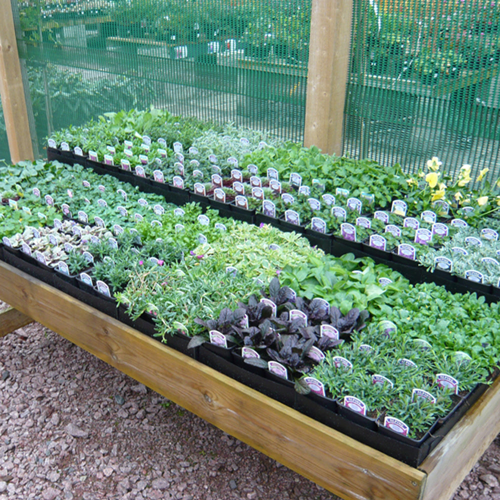Herb Mix - 9cm